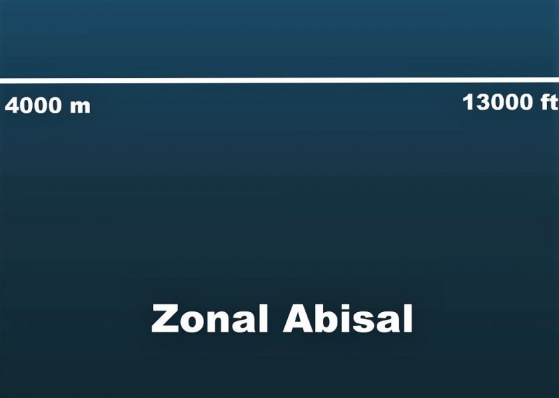Zona abisal