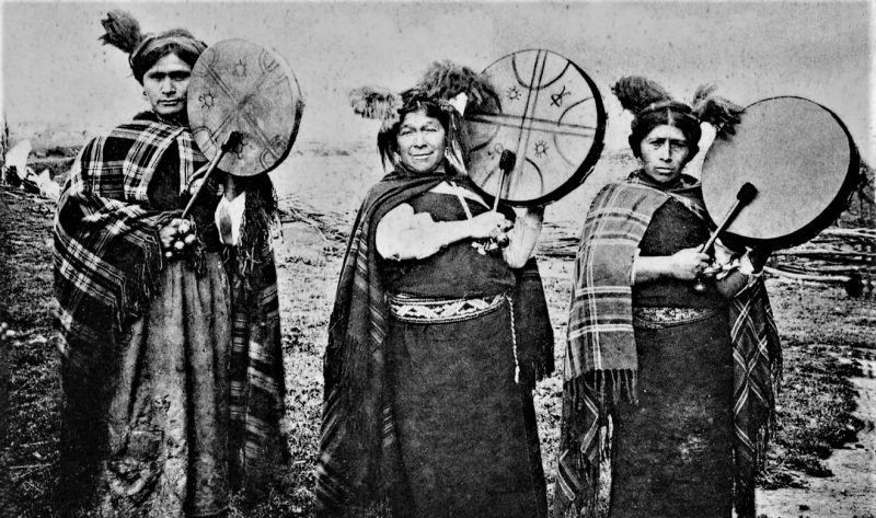 Mapuches Qué son, características, historia, costumbres, economía