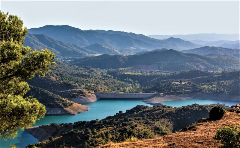 Clima templado | Qué es, características, tipos, fauna, flora, cultivos,  temperatura