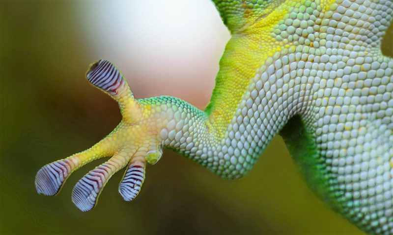 Fuerzas de Van der Waals