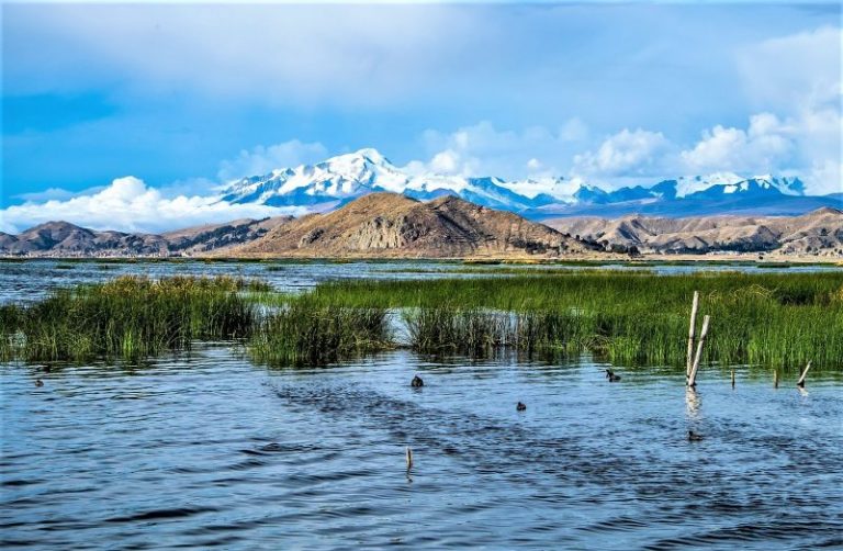 Golfo de México | Qué es, características, ubicación, historia, fauna