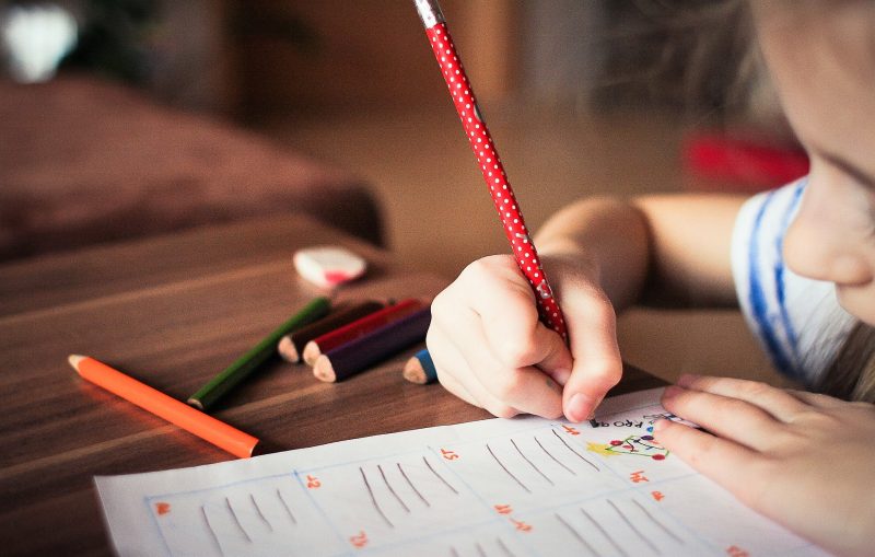 Desarrollo cognitivo