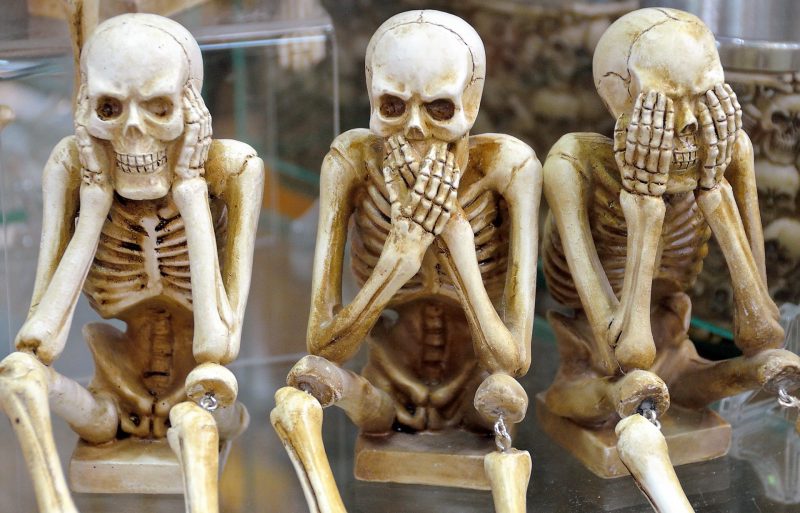 Sistema esquelético