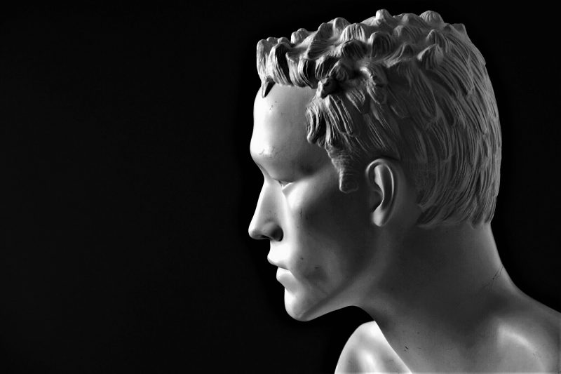 Músculos de la cabeza