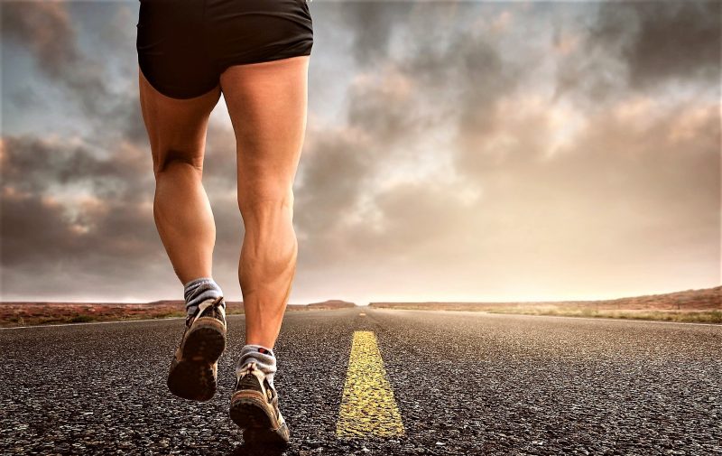 Músculos de la pierna