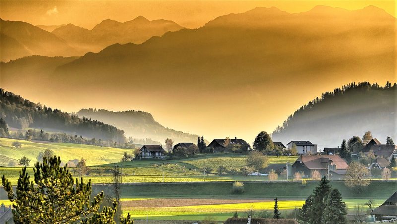 Inteligencia naturalista