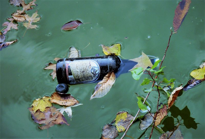 Water pollution What is, causes, sources, effects, prevention, types