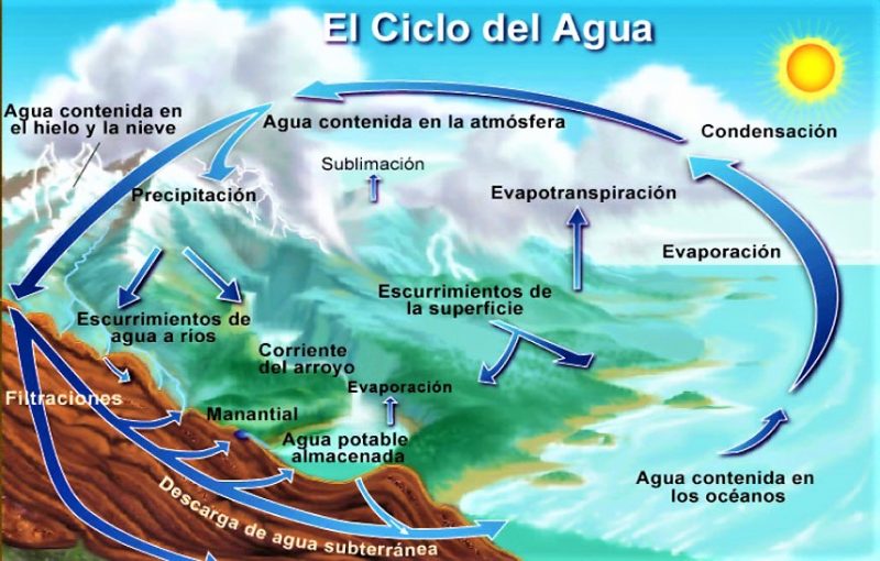 Hydrological cycle