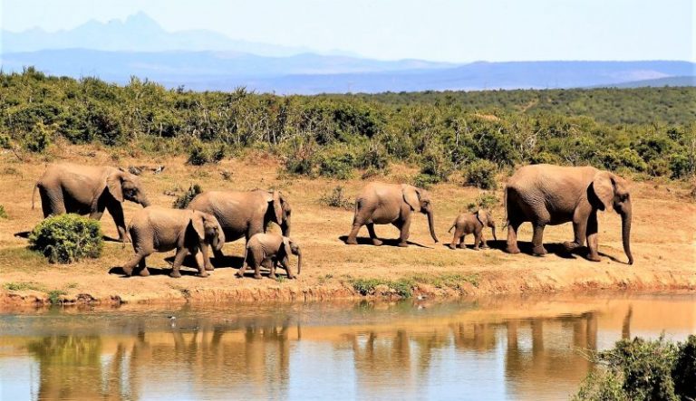 Grandes Lagos | Qué son, cuáles son, ubicación, características, fauna ...