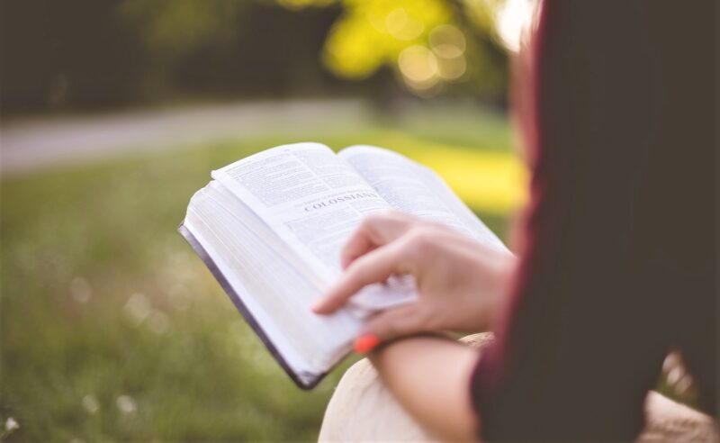 Narrador equisciente