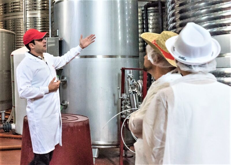 Función metalingüística