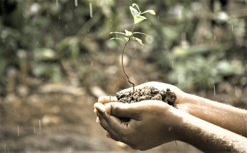 Responsabilidad social corporativa