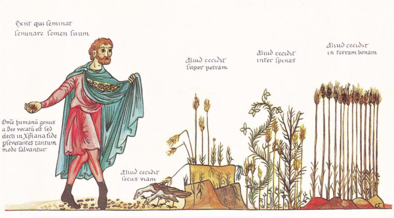 Parábola del sembrador