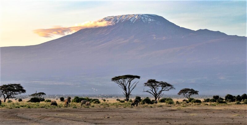 Kilimanjaro