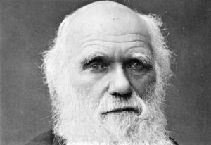 Charles Darwin Quién fue, biografía, aportaciones, teoría, educación
