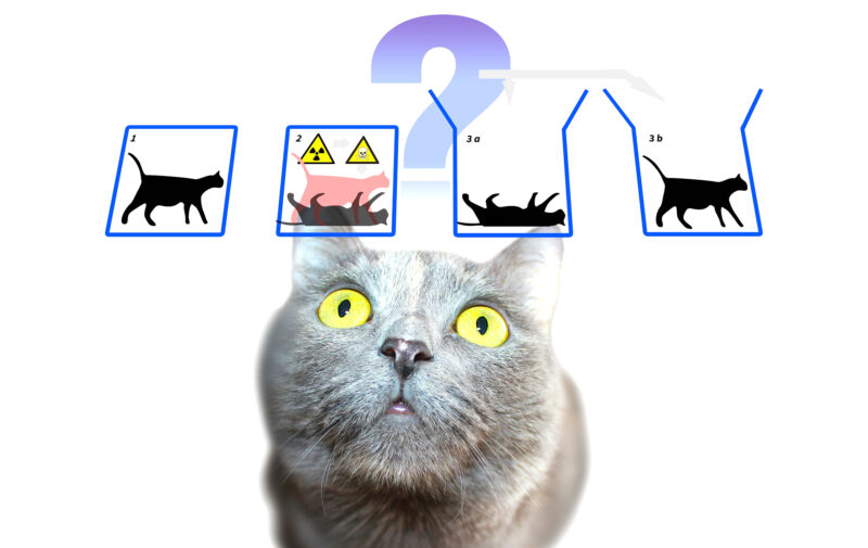 Gato de Schrödinger