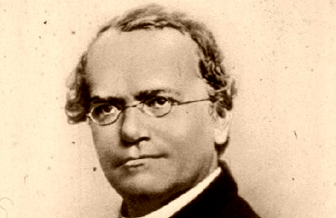 Gregor Mendel